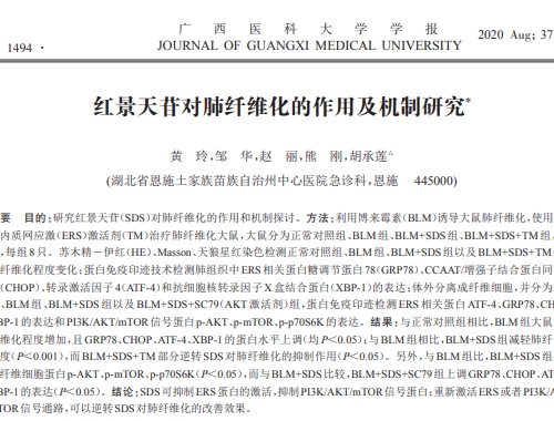 红景天苷对肺纤维化的作用及机制研究