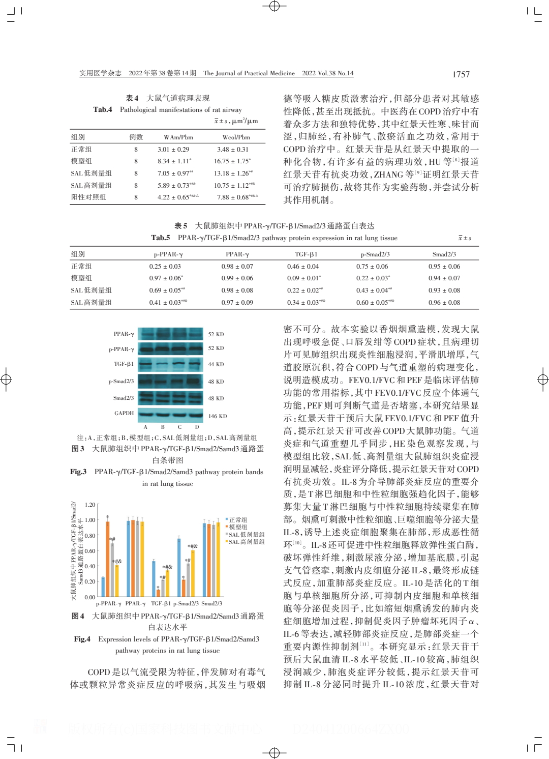 红景天苷改善慢性阻塞性肺疾病炎症模型及.PDF_4.jpeg