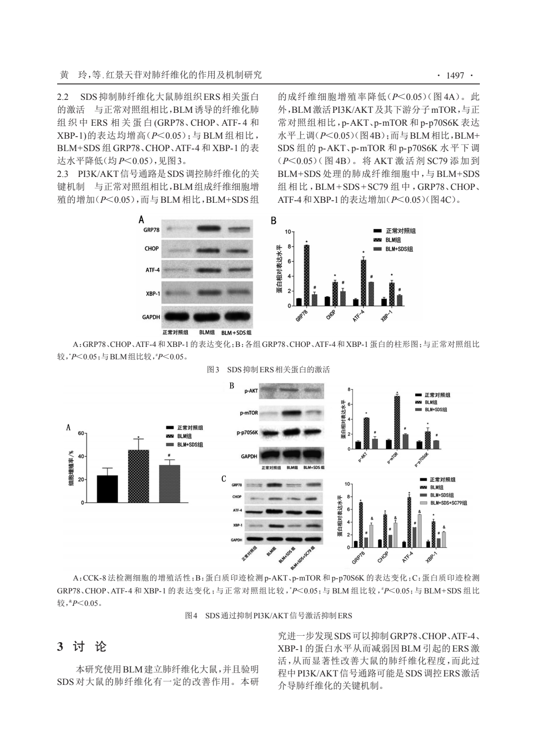 红景天苷对肺纤维化的作用及机制研究_3.jpeg